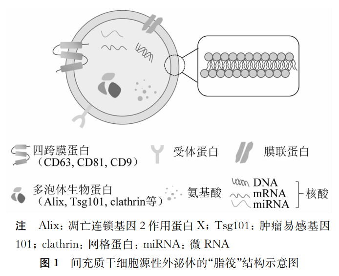 微信图片_20241126142059.png