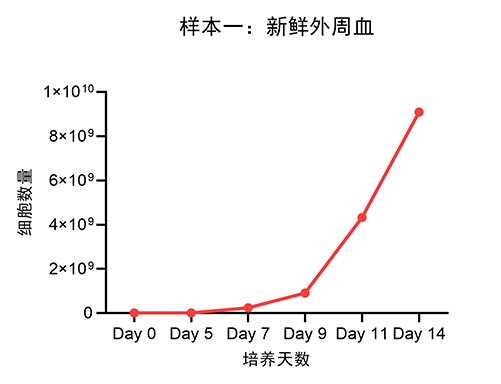 样本一：新鲜外周血.png