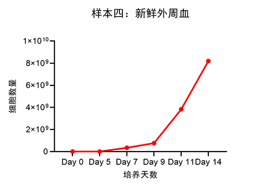 样本四：新鲜外周血.png