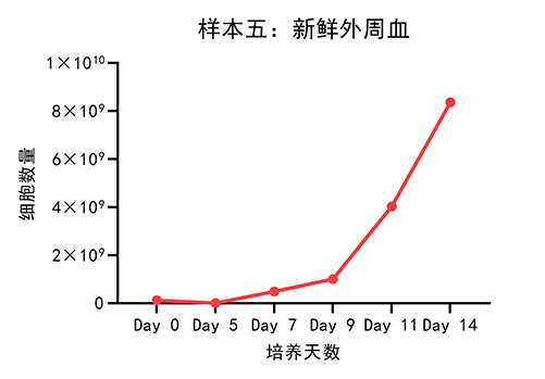 样本五：新鲜外周血.png