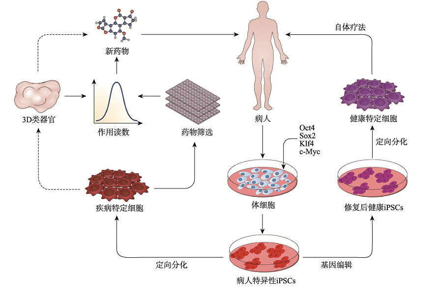 微信图片_20250509160709.png