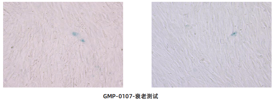 微信图片_20250616095111.png