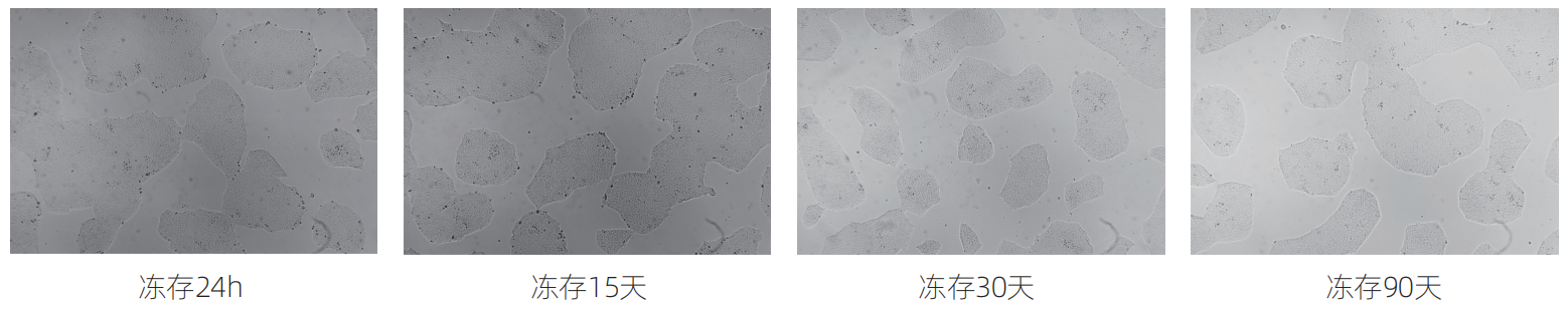 1769065558791610.png 1da68f34f655d4d5ceada3019ae89bd4.png