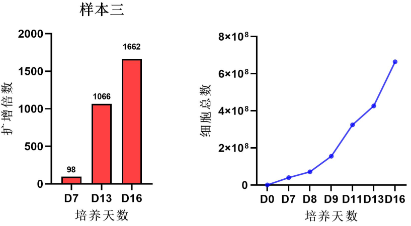 1769757858500575.png af9dd293e8b44b793e76f5ce1c5ae867.png