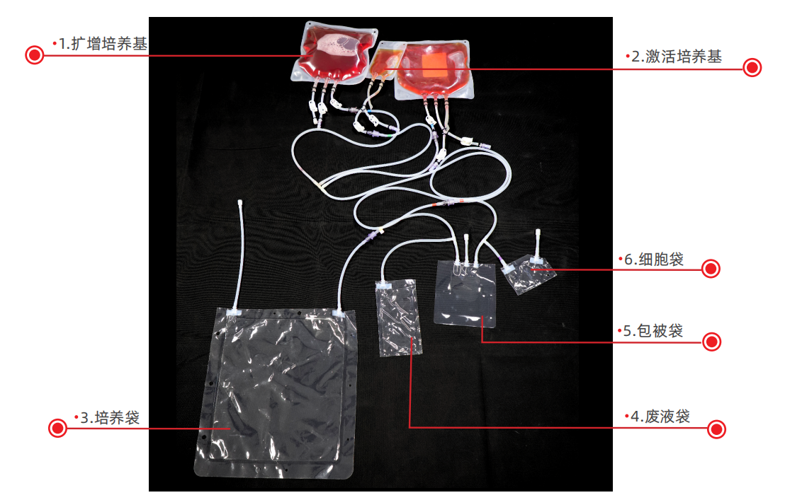 1775713736961785.png 8c31023a7b284673ee05f6f2084e3c9f.png