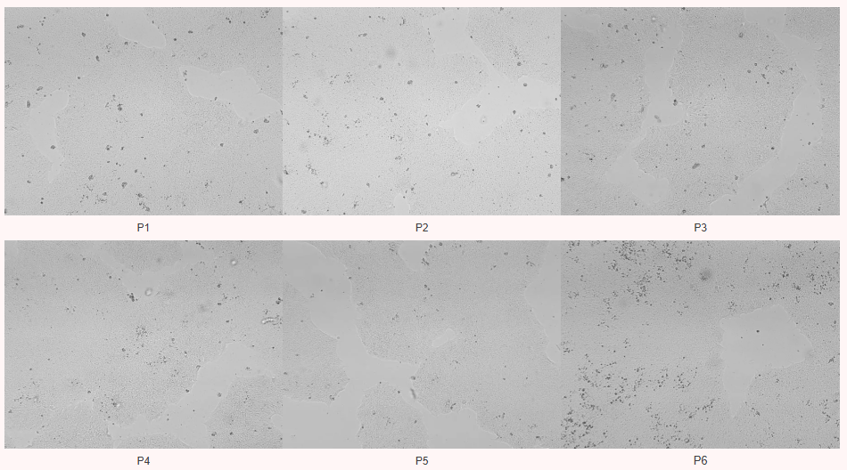 1781666066271431.png a902b3ca8098bbac9956184d5f619195.png