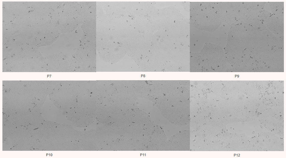 1781666076763836.png f3f88fc224fd576759a7a3fbb43c592a.png