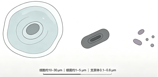 1787813912544354.png image.png