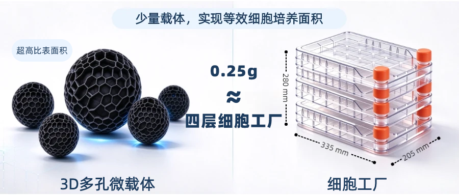 1792375112338420.png 微载体插图.png