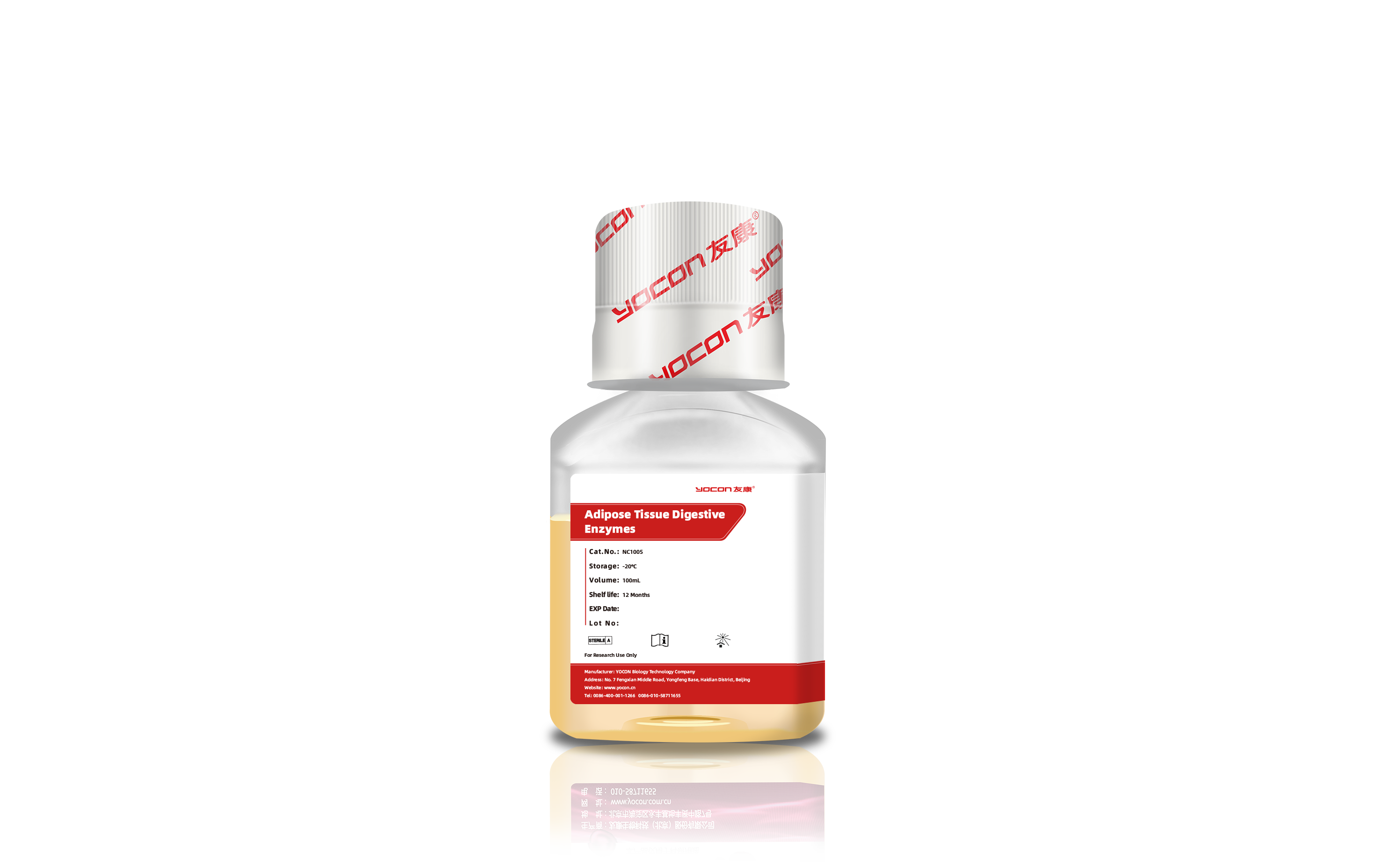 Adipose Tissue Digestive Enzymes